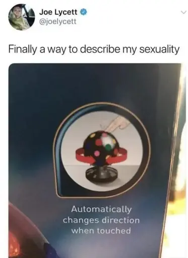 Finally a way to describe my sexuality: Automatically changes direction when touched