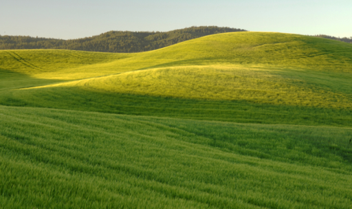A picture of a tiny hill.