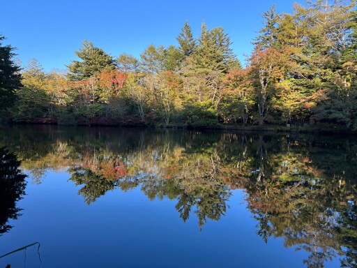 A smooth pond with a mirror surface reflecting trees with spots of color on the opposite shore, under a blue sky.