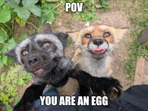 E G G
